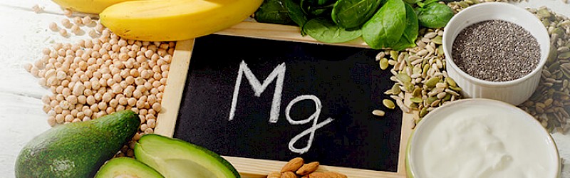 Was bewirkt Magnesium in unserem Körper?